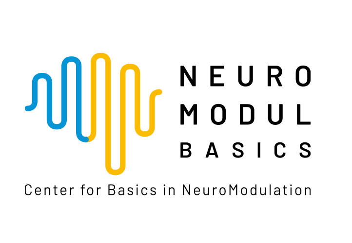 NeuroMod | University of Freiburg NeuroMod | University of Freiburg