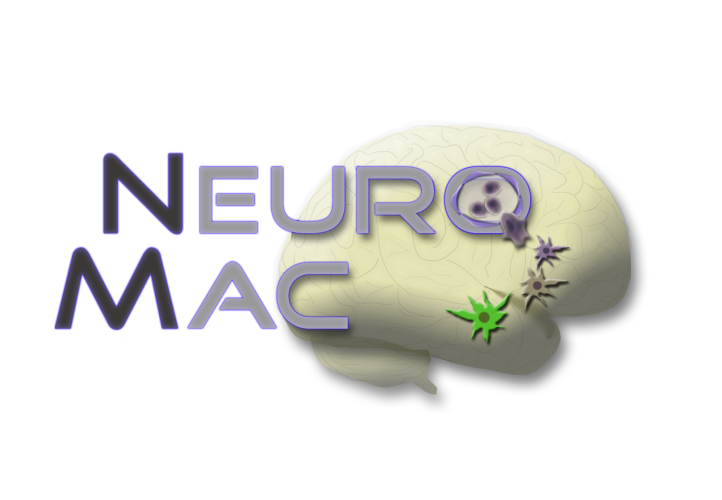 CRC-TRR 167 | NeuroMac CRC-TRR 167 | NeuroMac